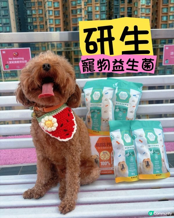 【華田的日常】汪汪！🐶 