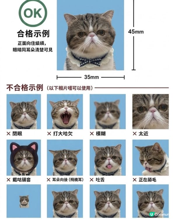 大人話就黎開學喇,要幫我影返張學生相😹