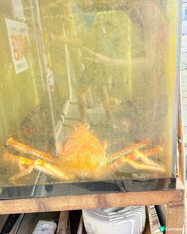 伊豆海邊🌲🦀🤤😋