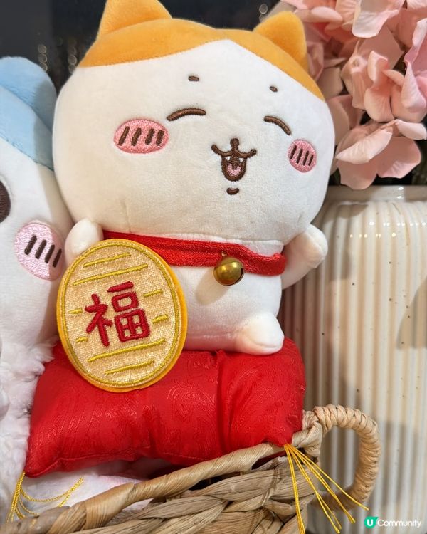 仔仔入坑Chiikawa嘅過程