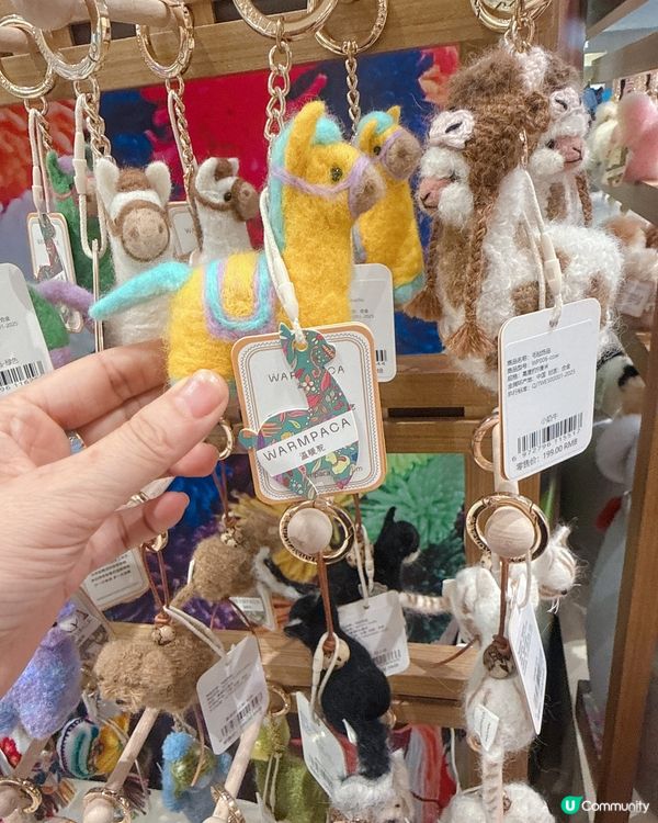哇！靚到癲！🐪✨