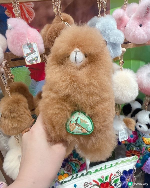 哇！靚到癲！🐪✨