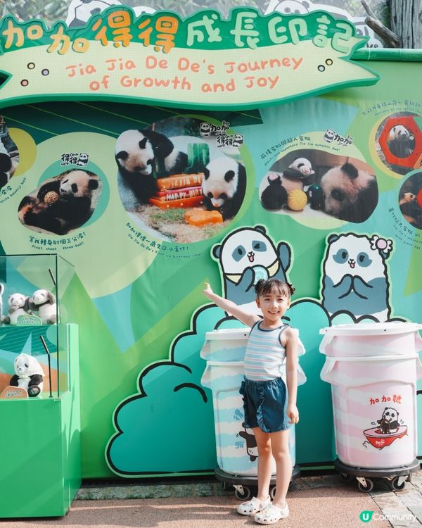 海洋公園熊貓生日趴🎂夏日慶生+玩水🐼🎉