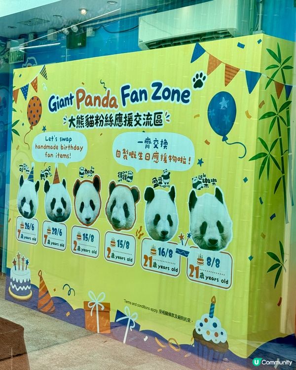 海洋公園熊貓生日趴🎂夏日慶生+玩水🐼🎉