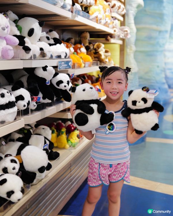 海洋公園熊貓生日趴🎂夏日慶生+玩水🐼🎉