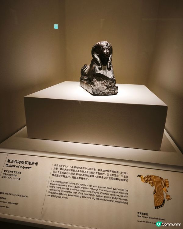 故宮文化博物館參觀古埃及展🤩