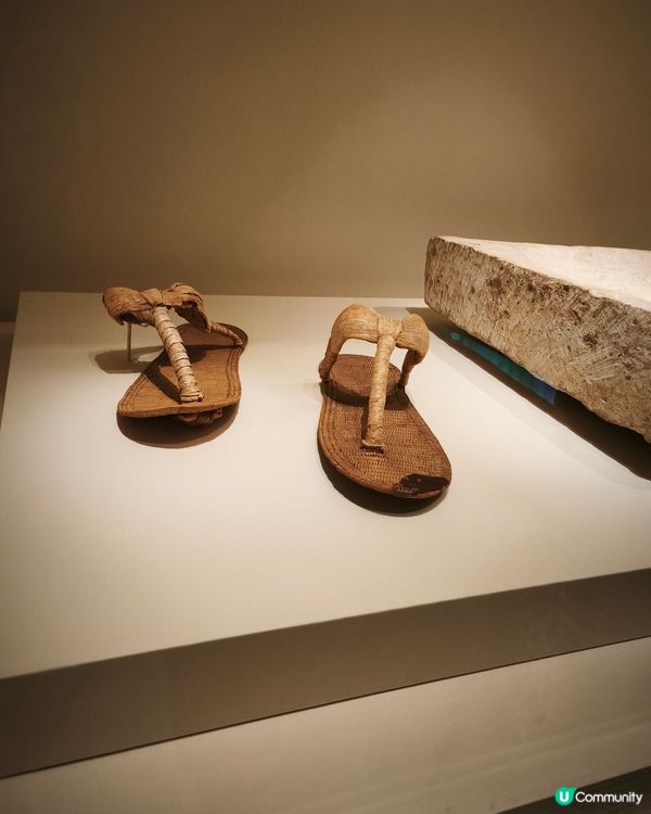 故宮文化博物館參觀古埃及展🤩