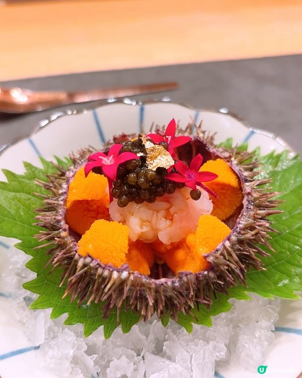 高質omakase 🍣🍣