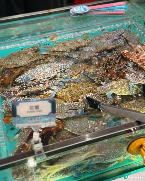即撈新鮮海鮮火鍋放題