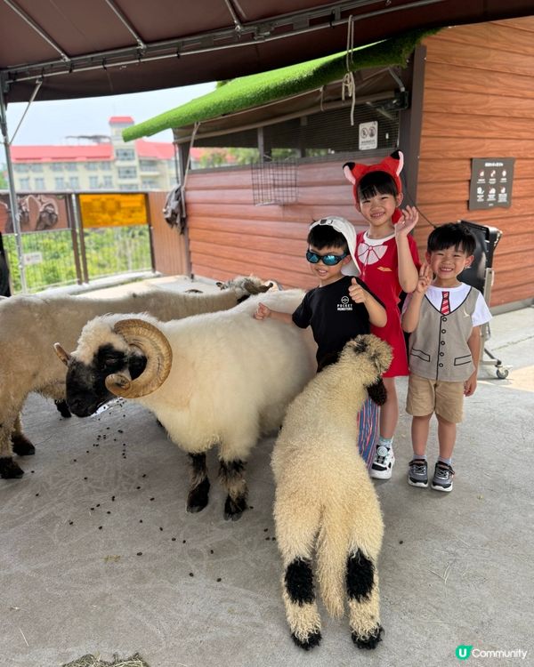 高雄玩到癲！🥳💸🎢