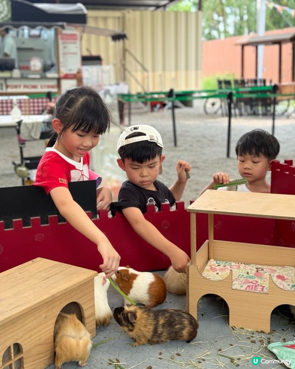 高雄玩到癲！🥳💸🎢