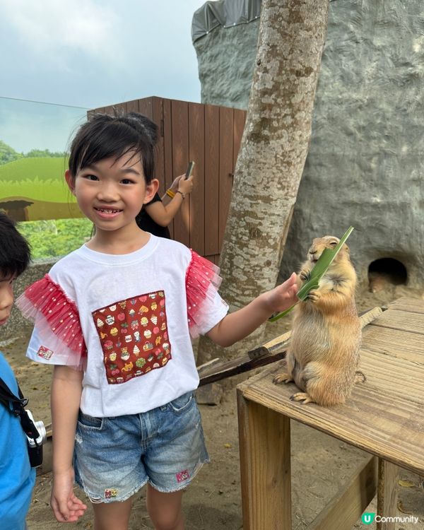 高雄玩到癲！🥳💸🎢