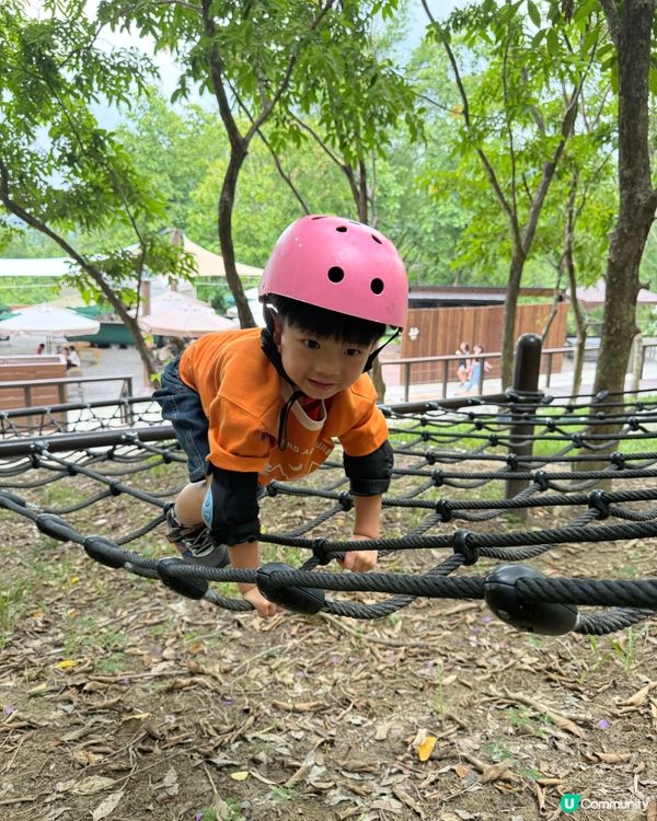 高雄玩到癲！🥳💸🎢