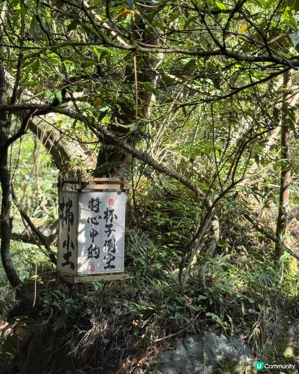 佛光岩必去💚貴州親子攻略🎒🌄