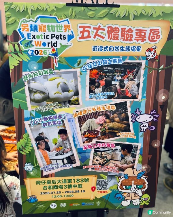 灣仔合和商場-近距離接觸動物