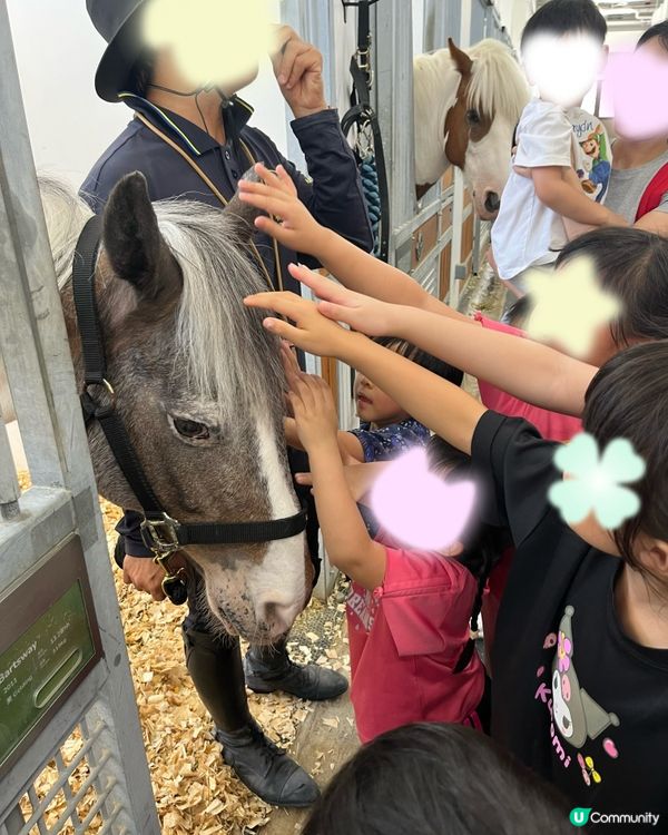 挑戰37度高溫下騎馬仔🥵🏇🏻