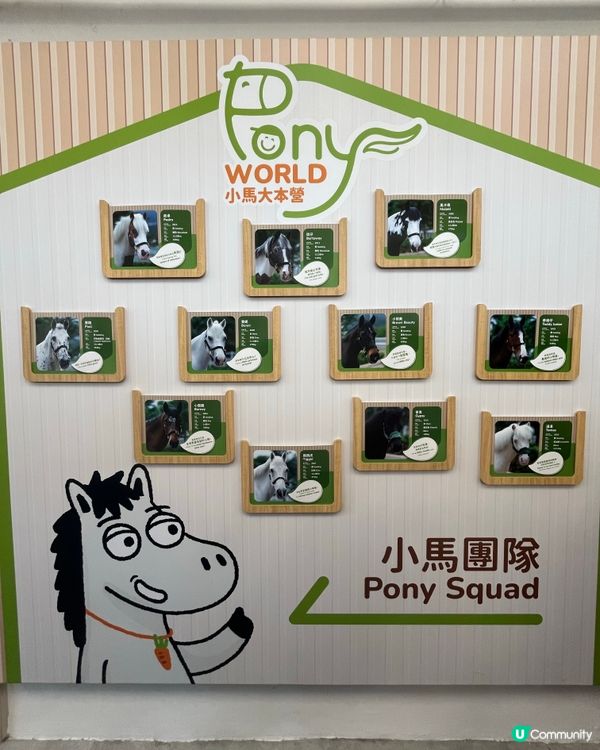 挑戰37度高溫下騎馬仔🥵🏇🏻