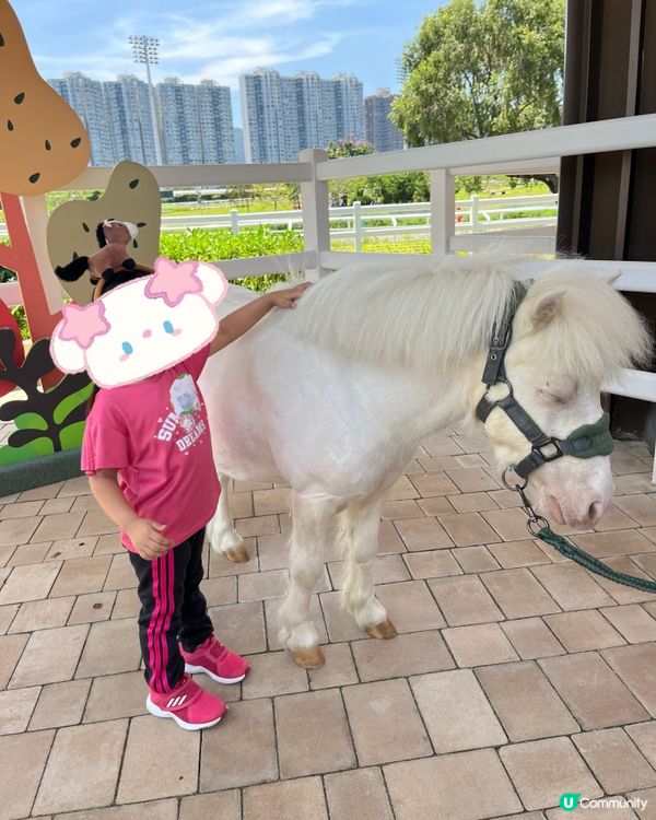 挑戰37度高溫下騎馬仔🥵🏇🏻