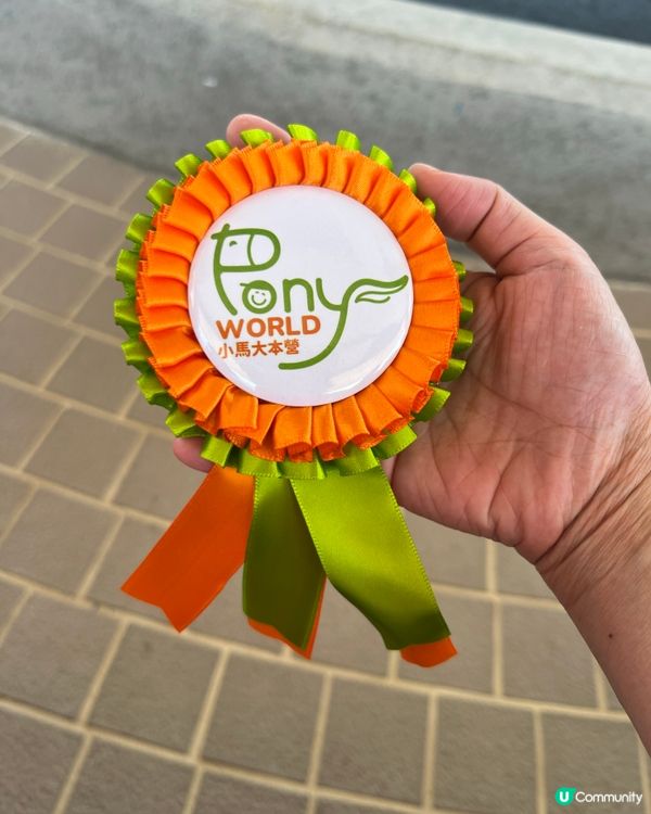 挑戰37度高溫下騎馬仔🥵🏇🏻