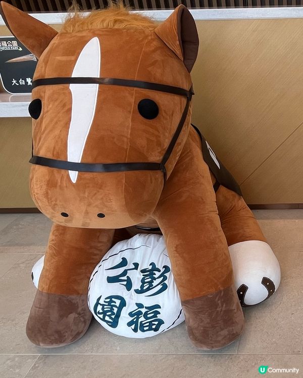挑戰37度高溫下騎馬仔🥵🏇🏻
