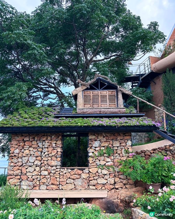 大理超火網紅打卡基地 半山悅旅拍花園 教你免排隊攻略