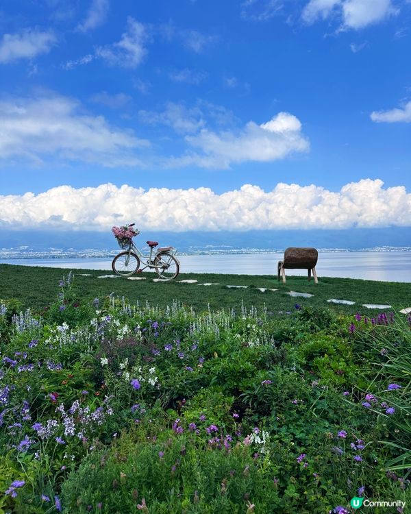 大理超火網紅打卡基地 半山悅旅拍花園 教你免排隊攻略
