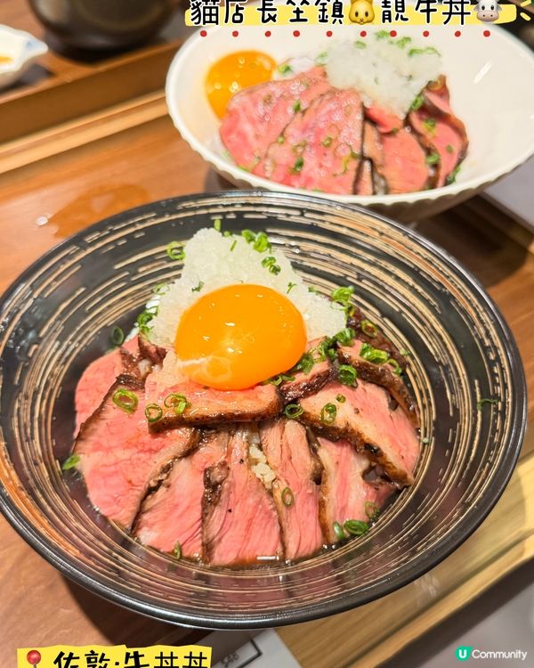 佐敦「牛丼丼」·貓店長坐鎮🐱靚牛丼🐮