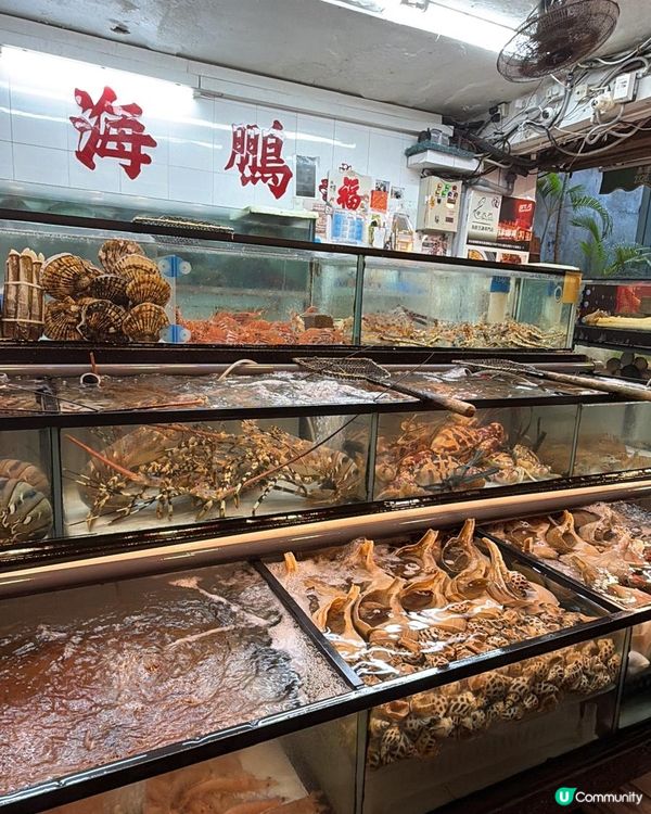 鯉魚門品嚐高質海鮮🦞🦀🦐美味佳餚✨