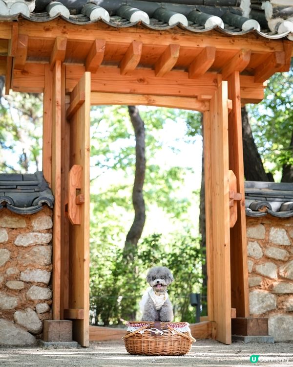 Seoul Forest 