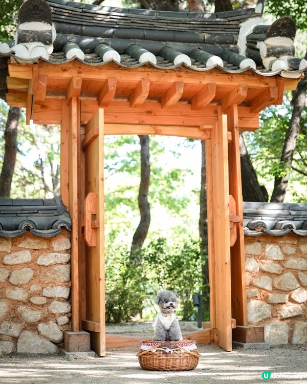 Seoul Forest 