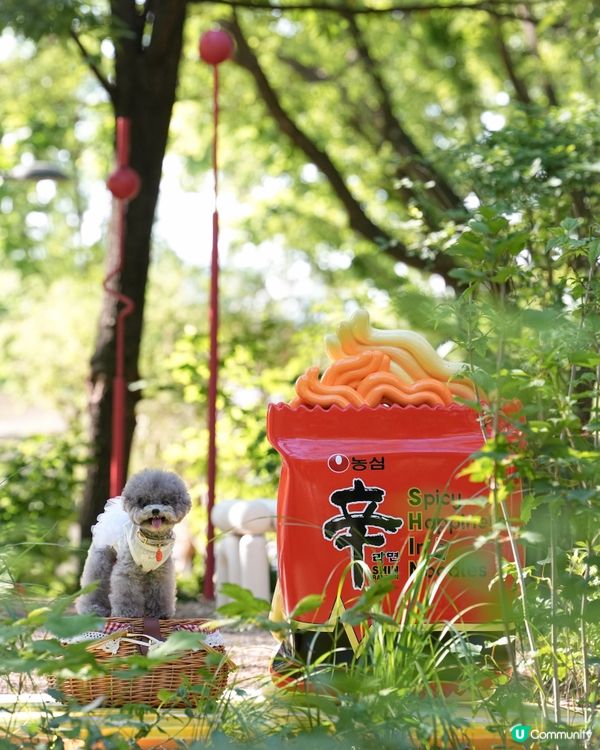 Seoul Forest 