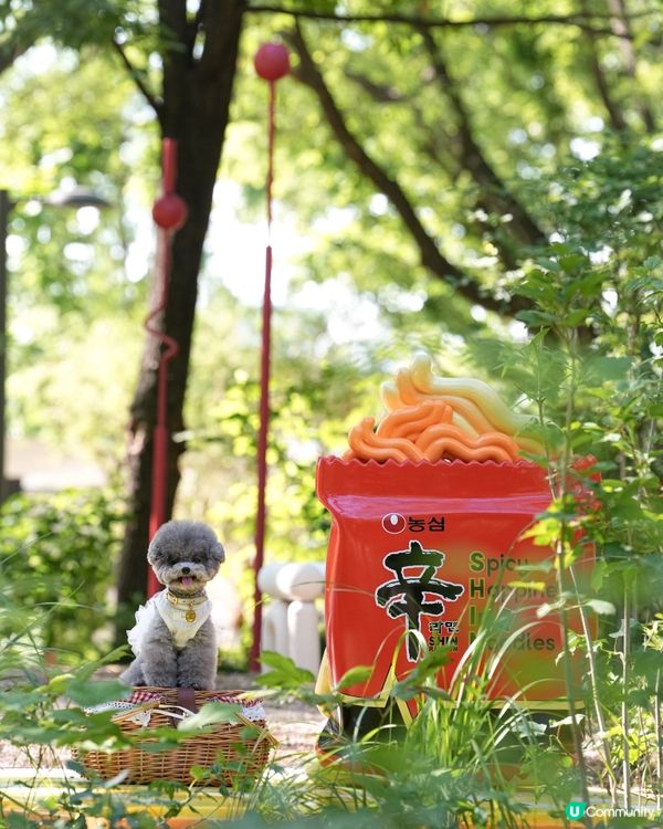 Seoul Forest 
