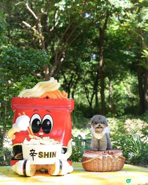 Seoul Forest 