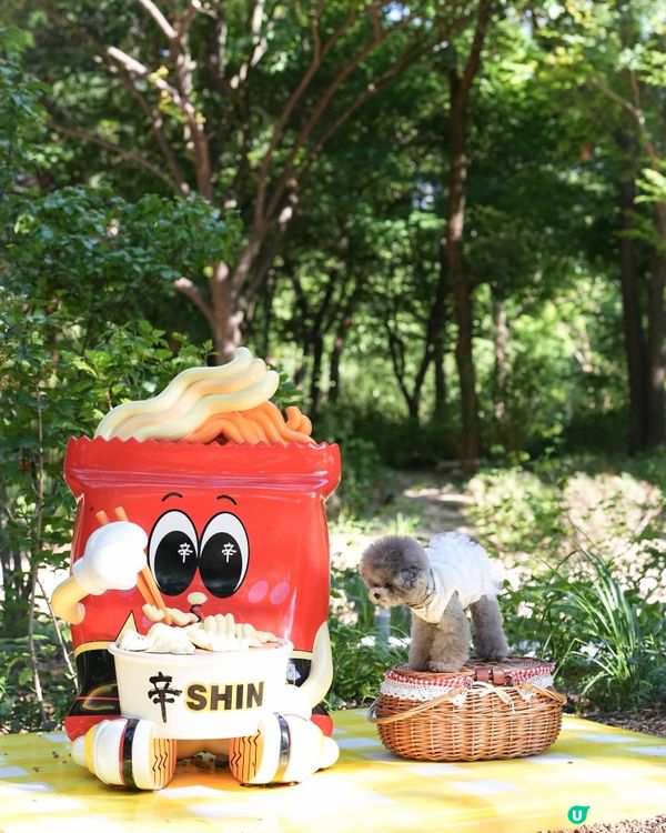 Seoul Forest 