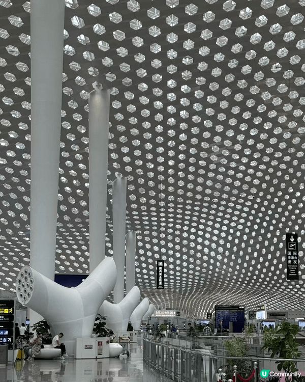 深圳寶安機場T3的「蜂巢天花」是必打卡的建築藝術。由意大利福...