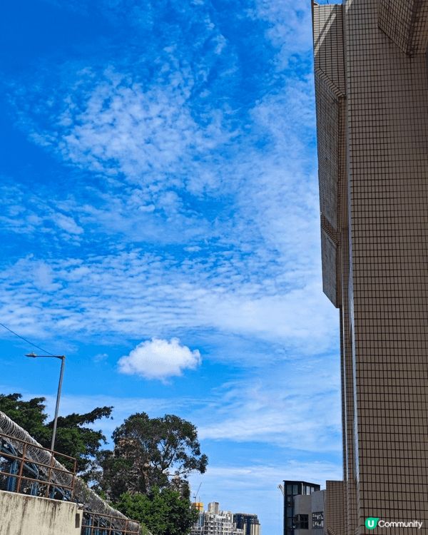 假日好天氣就出門,到郊外吸收清新空氣,曬太陽享受日光浴,出身...