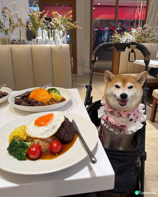 🍳小清新餐廳•日式蛋包飯✨