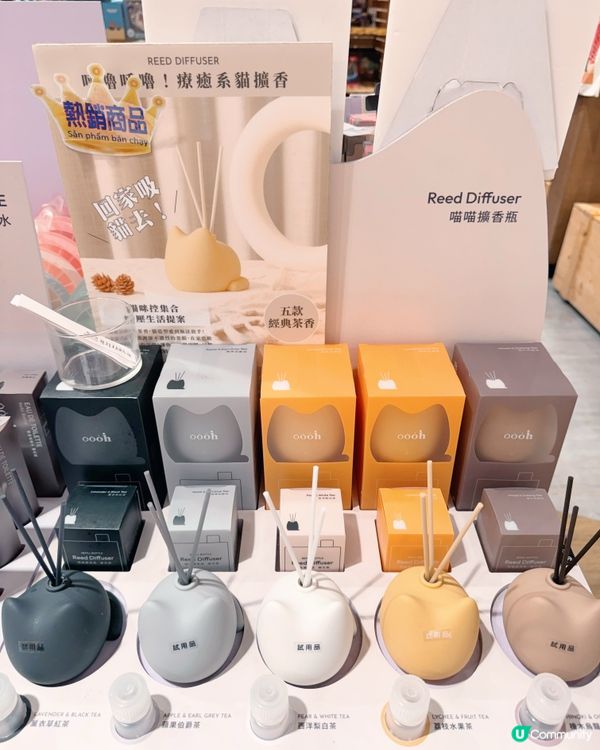 高雄飛行前的綠意文創休息站