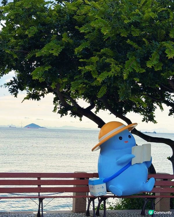 呢度好似濟州島！🤩🌊