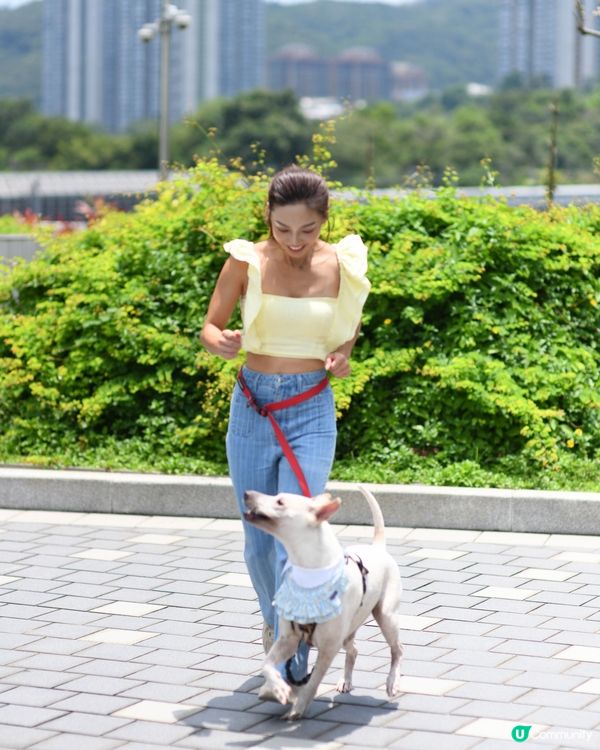 寵物友善青衣城🐱🐶勁多選擇！💰🛍️