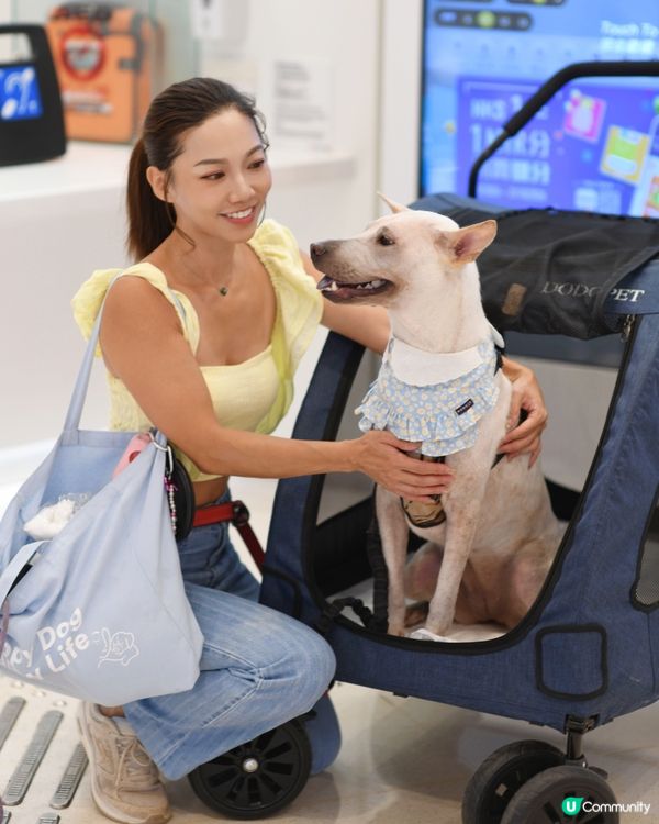寵物友善青衣城🐱🐶勁多選擇！💰🛍️