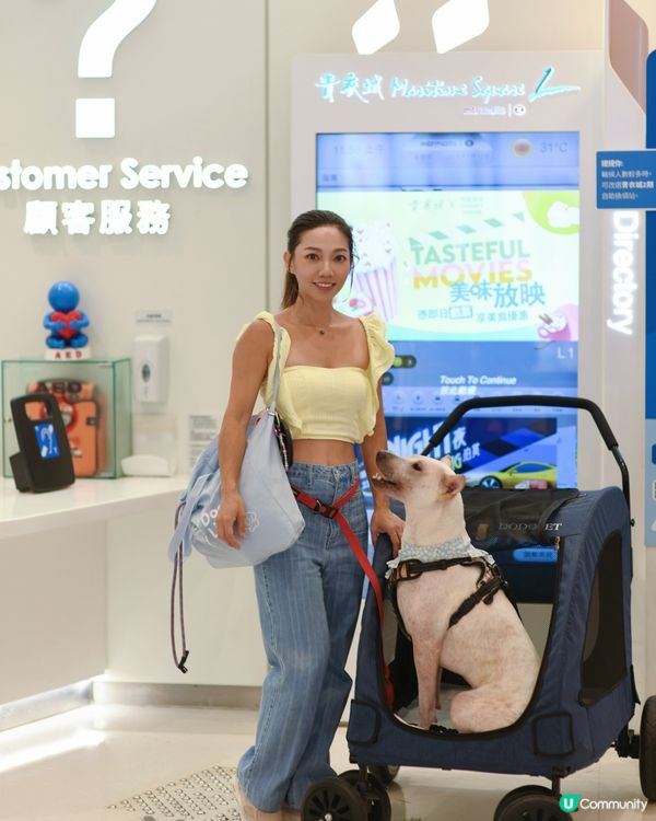 寵物友善青衣城🐱🐶勁多選擇！💰🛍️
