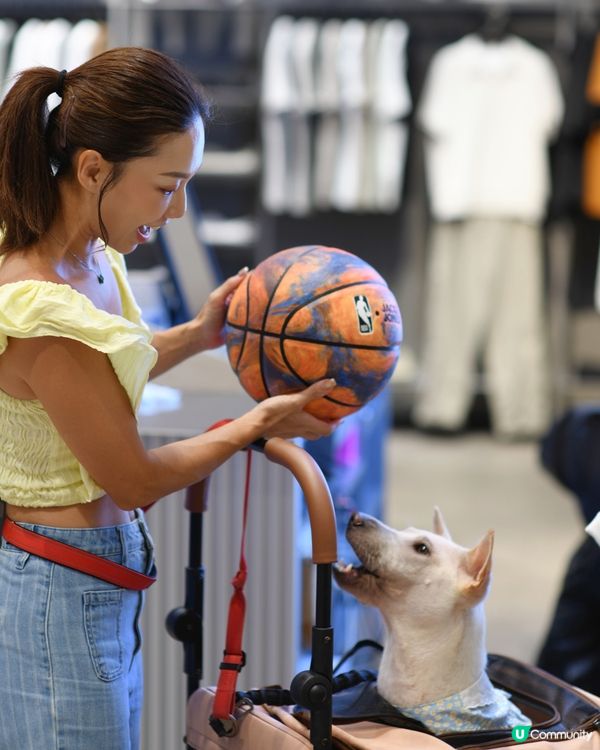寵物友善青衣城🐱🐶勁多選擇！💰🛍️