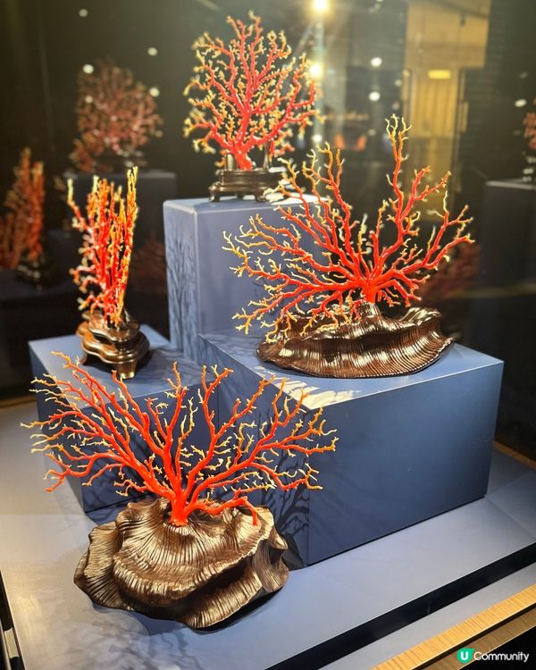 免費展覽+免費禮物 ｜ 「深珊藏珍」展覽