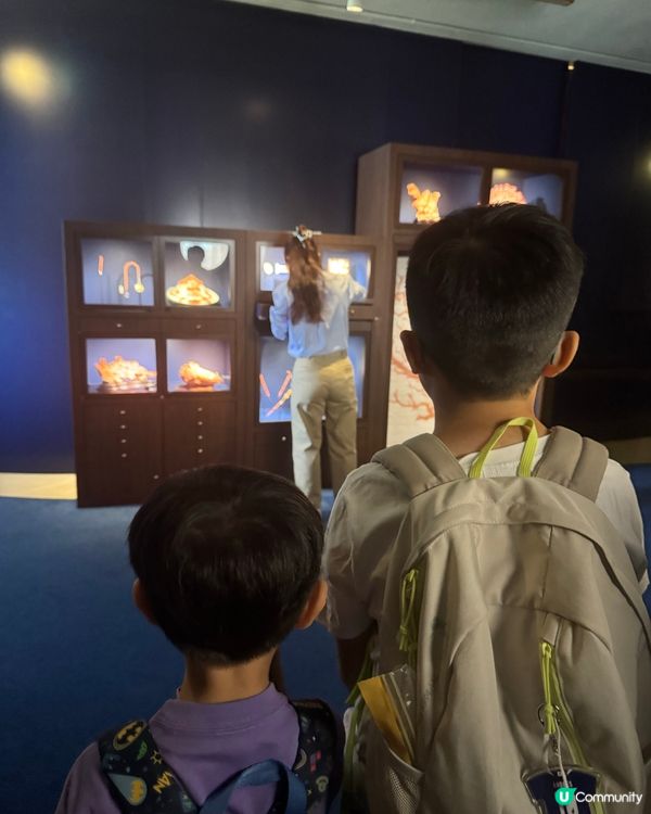 免費展覽+免費禮物 ｜ 「深珊藏珍」展覽