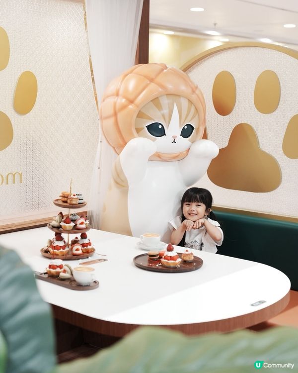 夏日喫茶店☕️🐱 📸