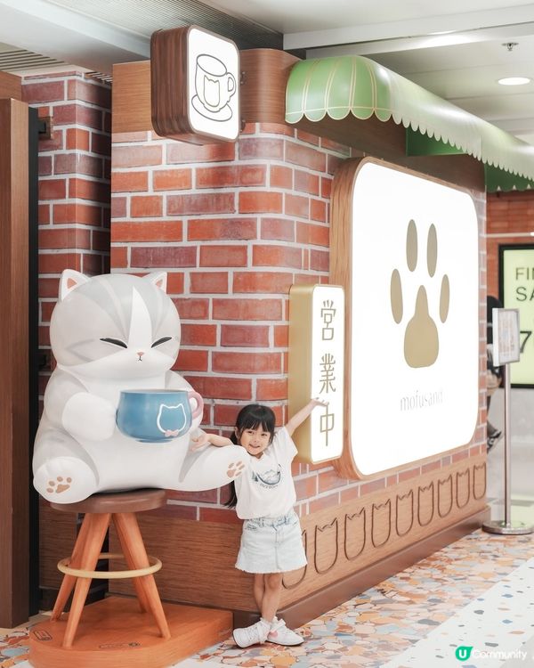 夏日喫茶店☕️🐱 📸