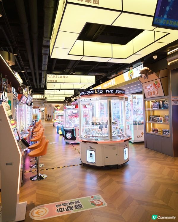 夏日喫茶店☕️🐱 📸