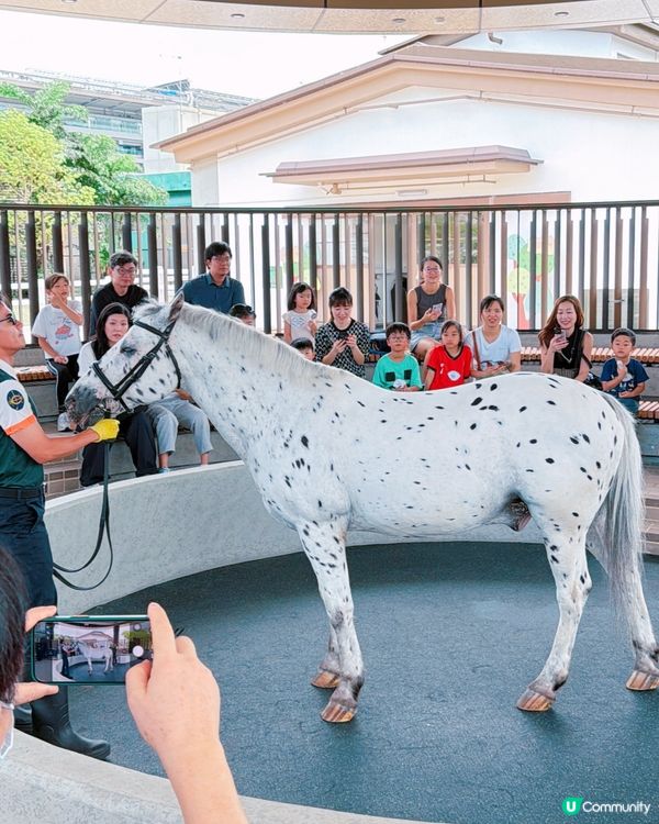 親子遊！彭福公園旁親親小馬！🐎🥰