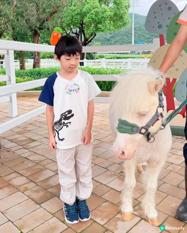 親子遊！彭福公園旁親親小馬！🐎🥰